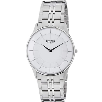 ساعت مچی سیتیزن AR3010-65A